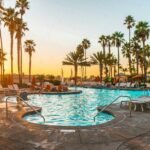 swimming pool surrounded by palm trees during daytime