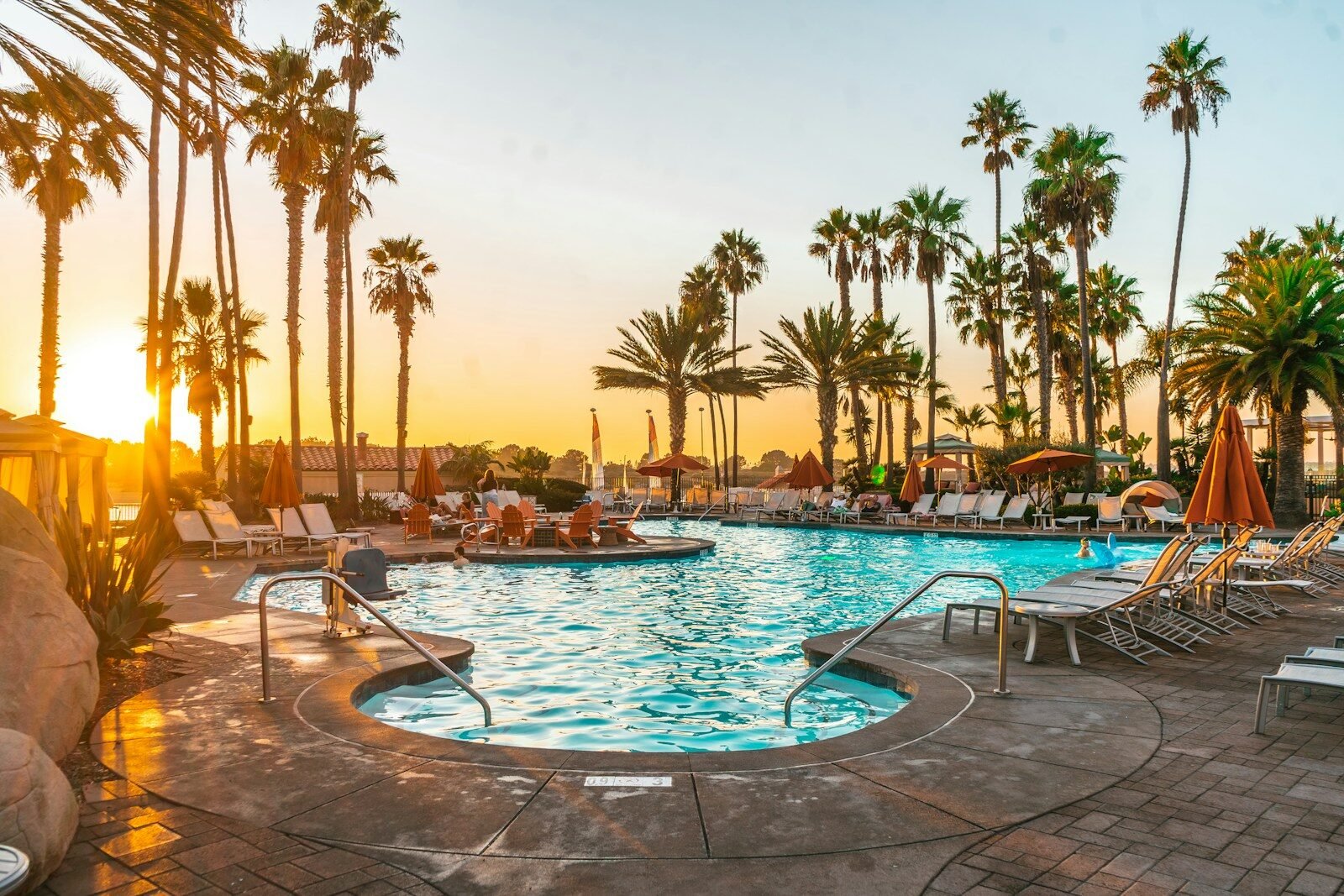 swimming pool surrounded by palm trees during daytime