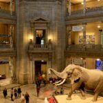 american museum of natural history reviews