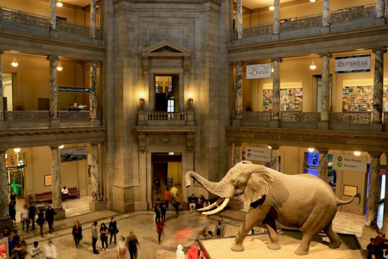 american museum of natural history reviews