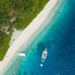 What Is Interesting About Beevitius Islands