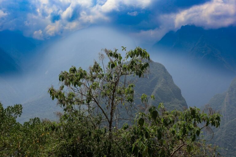 compound interest is the 8th wonder of the world