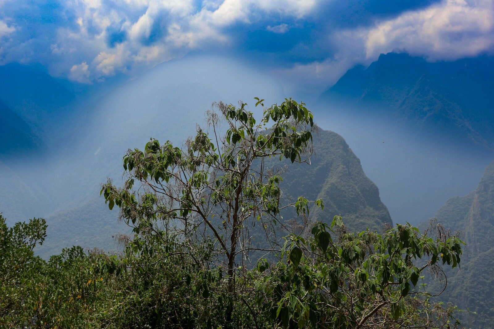 compound interest is the 8th wonder of the world