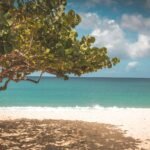 best-beaches-in-the-caribbean-1537