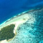 best-diving-spots-in-the-maldives-1566