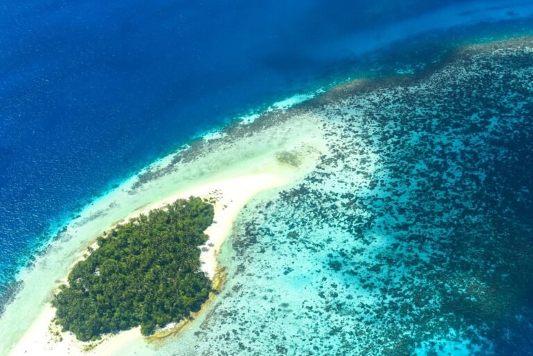 best-diving-spots-in-the-maldives-1566