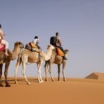 exploring-the-sahara-desert-1543