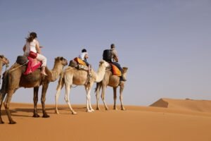 exploring-the-sahara-desert-1543