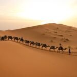 morocco-travel-guide-for-beginners-1521