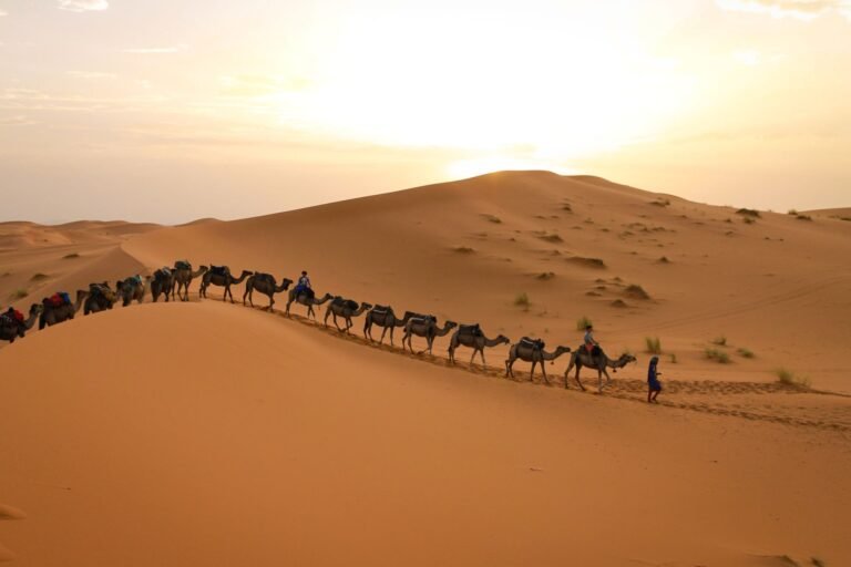 morocco-travel-guide-for-beginners-1521