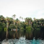 exploring-the-amazon-rainforest-1842