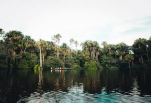 exploring-the-amazon-rainforest-1842