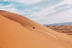 exploring-the-sahara-desert-1867