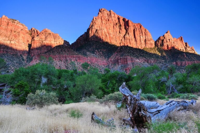 top-national-parks-in-the-usa-1816