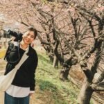ultimate-guide-to-visiting-japan-in-spring-1771